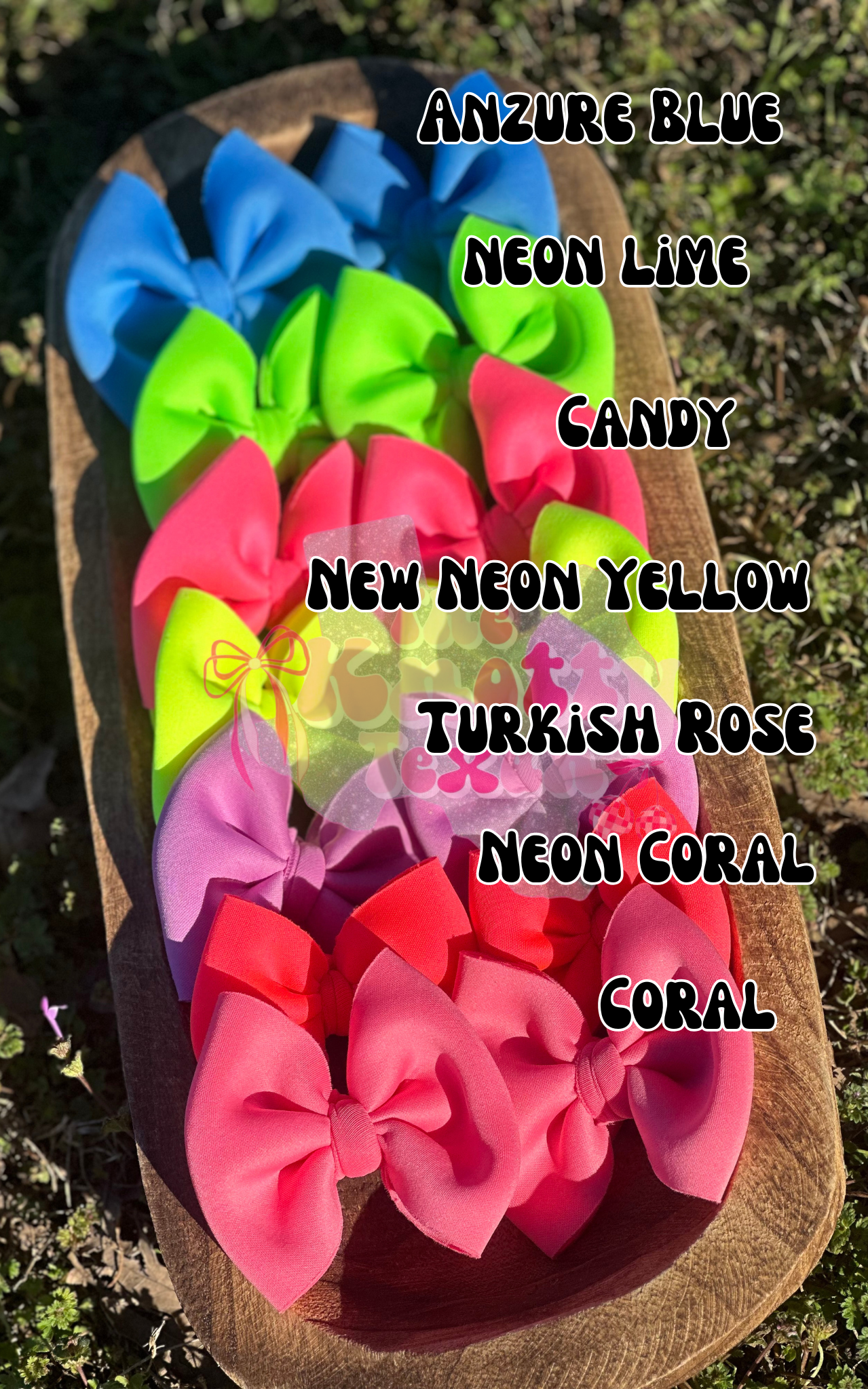 Coral Scuba